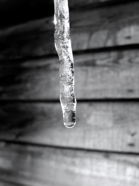 A Melting Icicle 