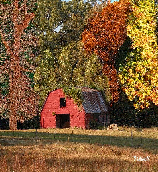 Red Barn in Shelby Farms