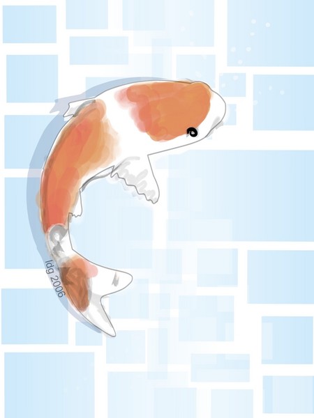 Koi in Blue
