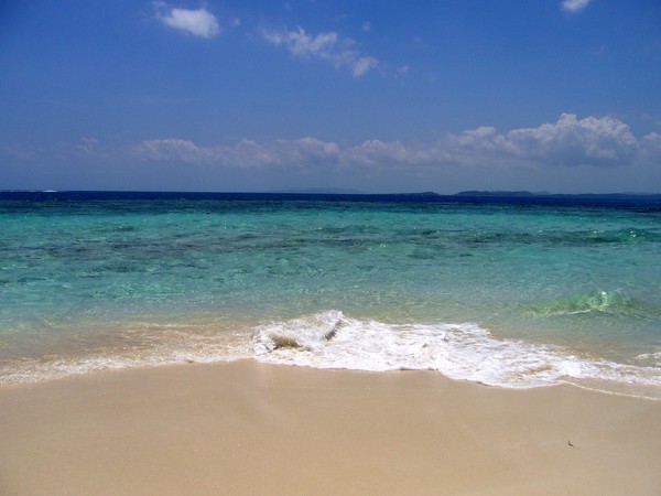 Paradise Waves
