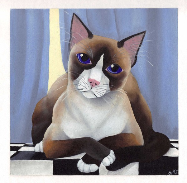 Frankie the Cat
