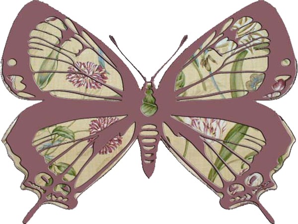 Mauve Butterfly