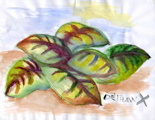 Plants