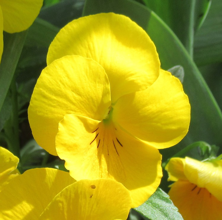 SUNNY DAYS FOR YOU !!