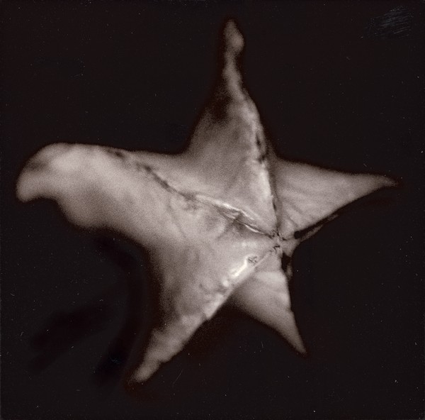 Starfruit