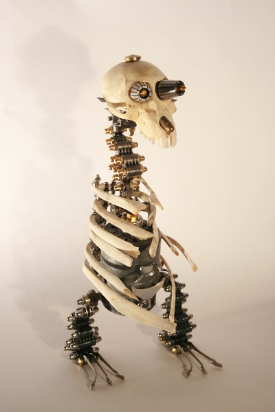 Anthropoidal