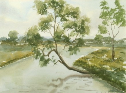 river and tree landscape 630