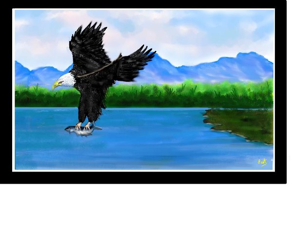 Fishing  Eagle