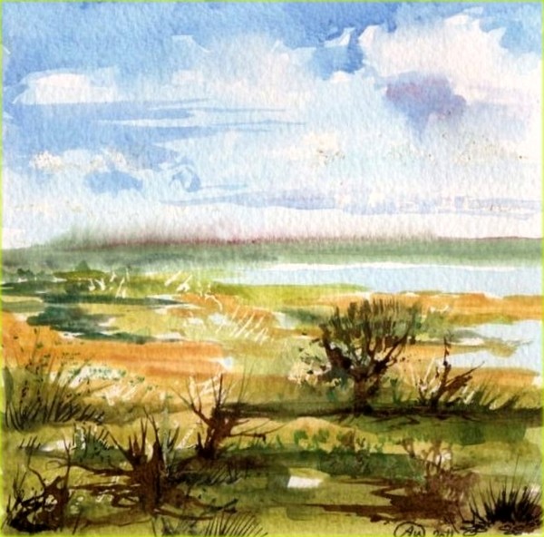 Salt Marsh III