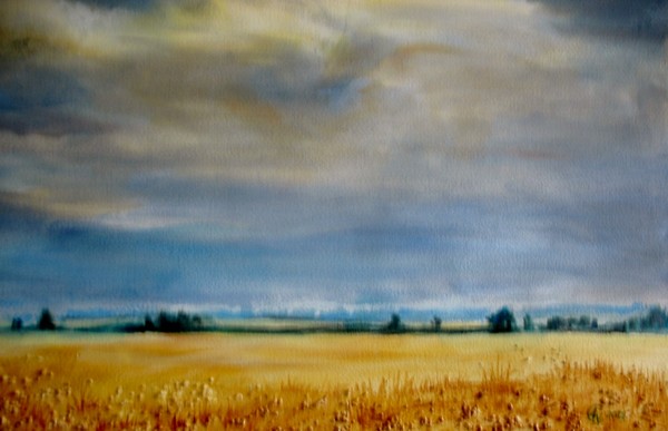 The Edge of the Cornfield