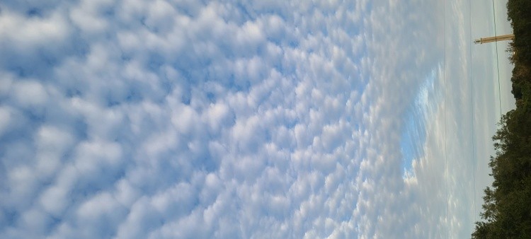 COTTONBALL SKY