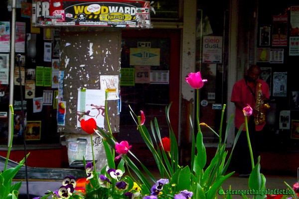 A Song For The Flowers