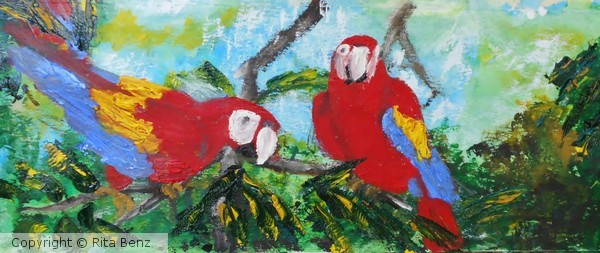 Parrots