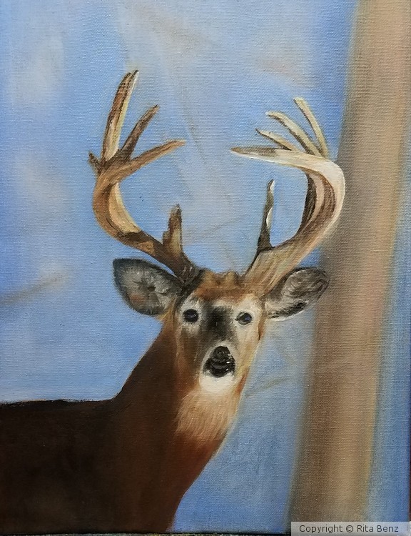 Buck