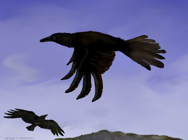 Soaring Above the World