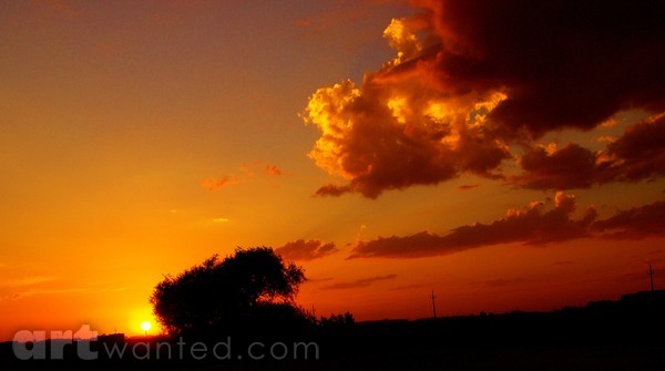 SUNSET BEAUTY