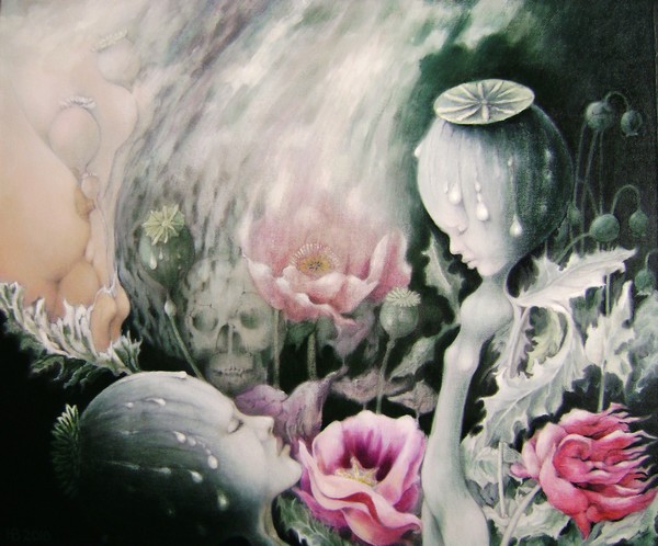 Opium poppies