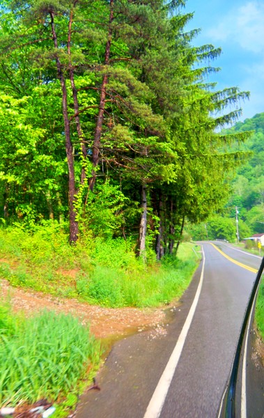 Peaceful Drive Down The Road