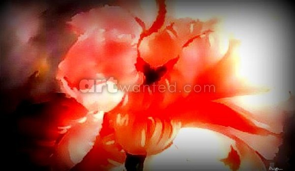 PARROT TULIP