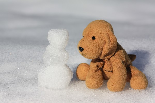 A dog and his snowman