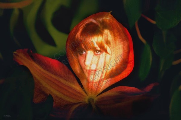 (43) Flower Maiden