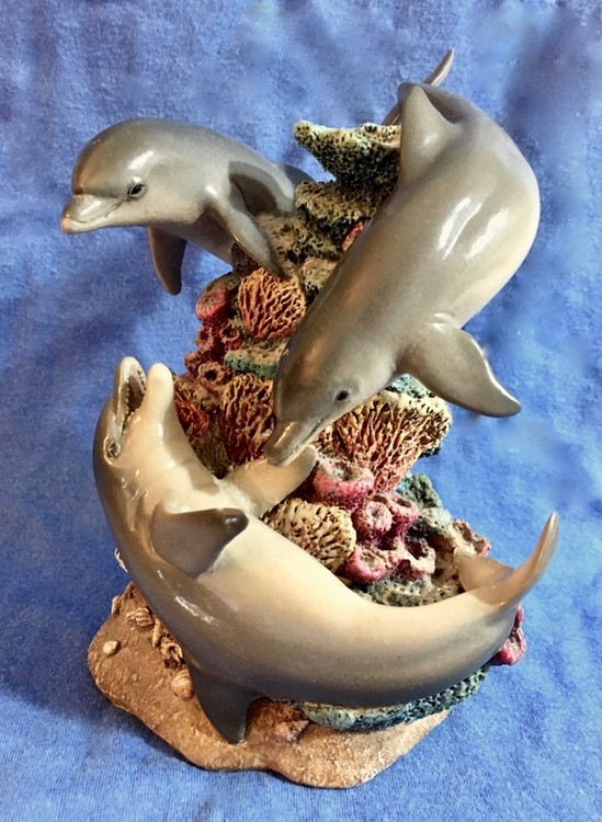 DolphinPlay