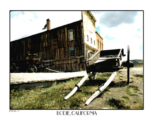 Bodie
