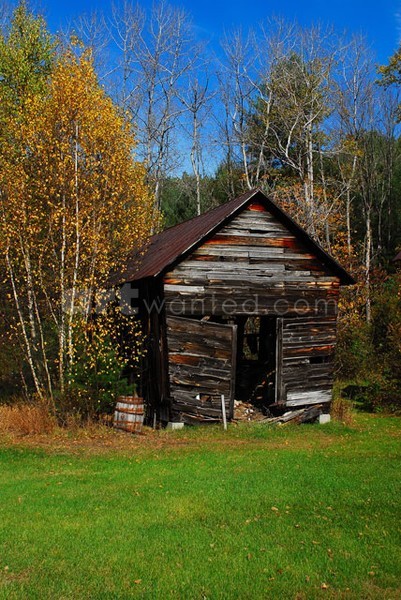 Old Corn Crib I