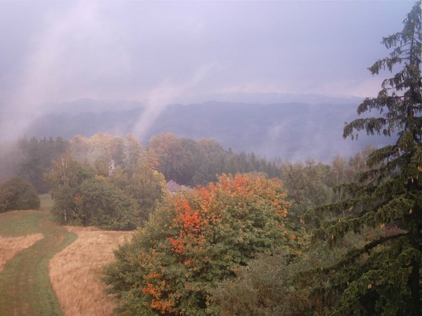autumn