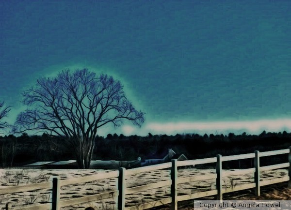 Country roadside