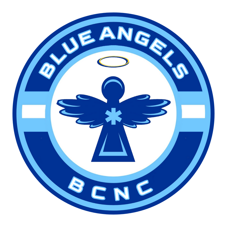 Blue Angeles- the Nurses of North Carolina 