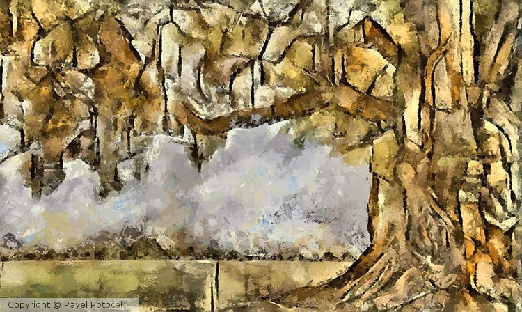 Tree VI