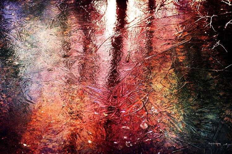 Reflections on a Pond