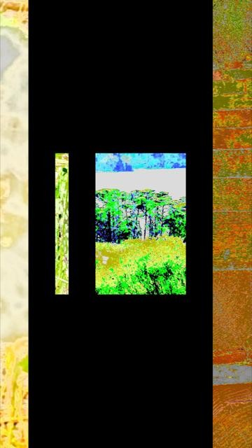 thumbnail-810