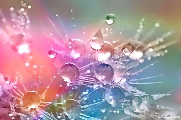 Sunset Raindrops 