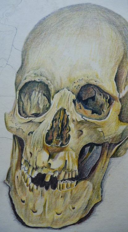 The Skull