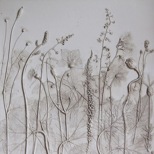 The Artist Creates Clever “Fossils” Using Live Pla