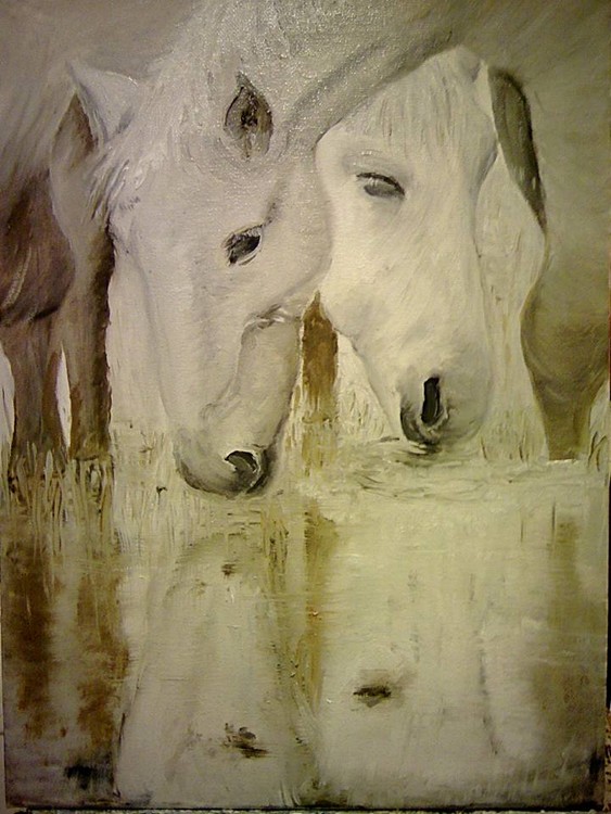 horse