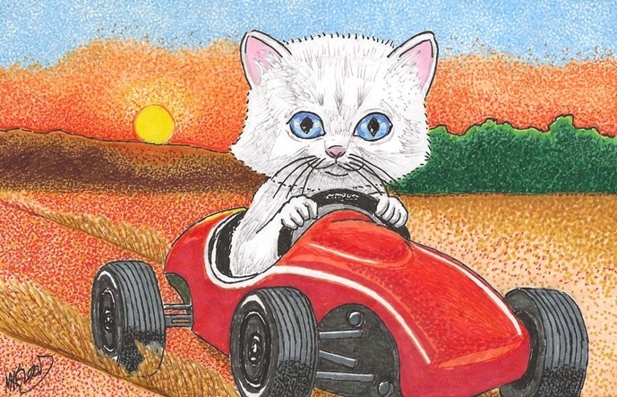 Kitty Baja