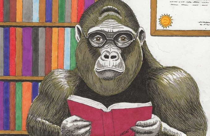 my gorilla can read