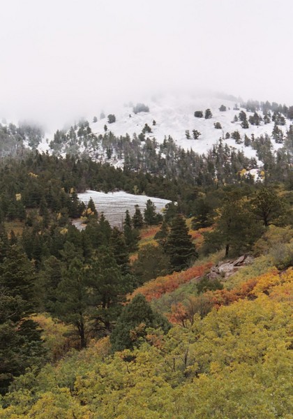 Fall in the Rockies