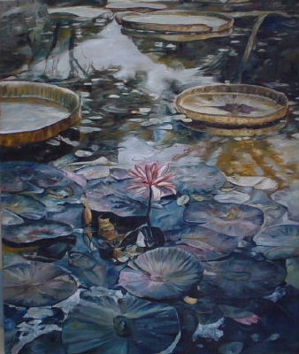Water-lily