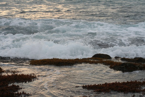 sunset tide