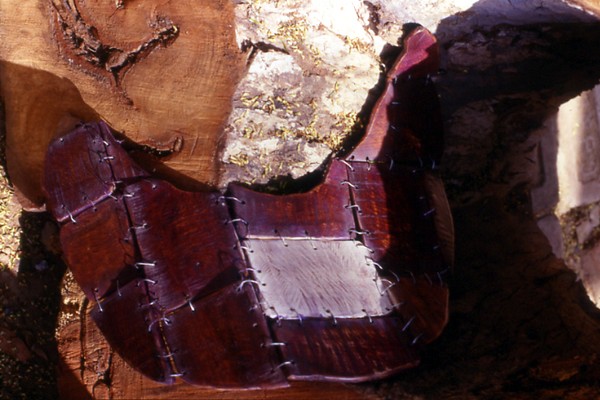 The Talisman