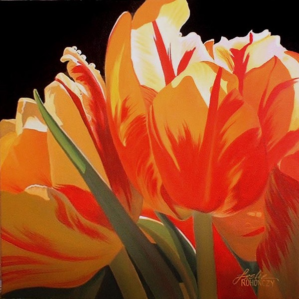 Two Tulips