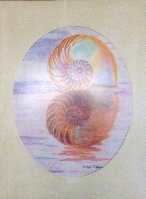 Nautilus Reflections Watercolor 11x17 Prints available
