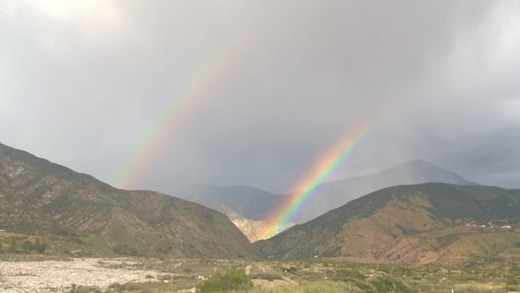 double bow