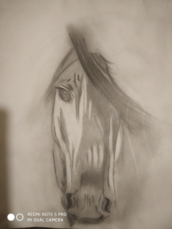 Love for horses