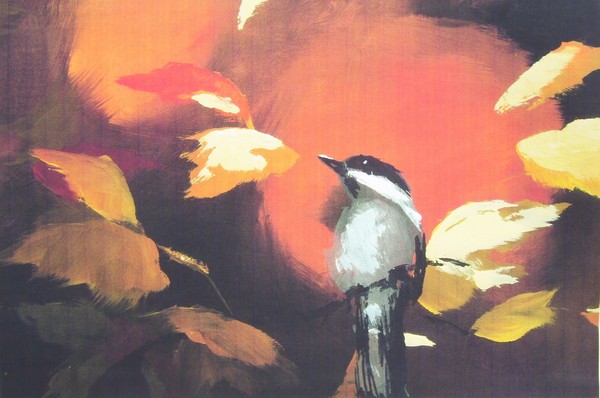 Black Capped Chickadee