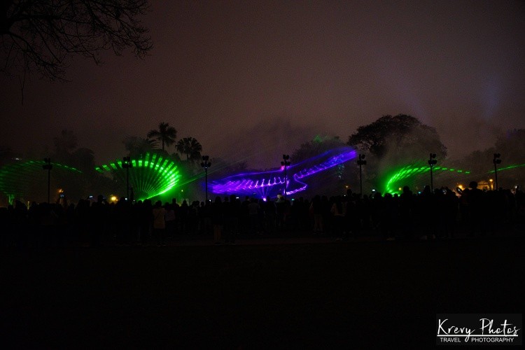 Laser Bird